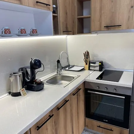 Shevitsa- Ev Wallbox *