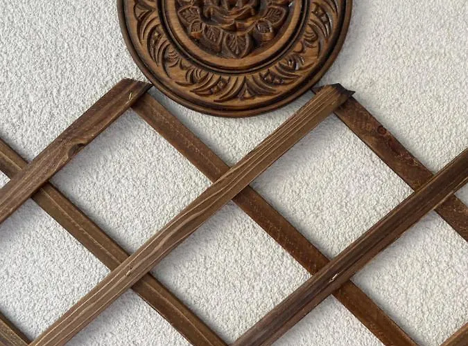 Shevitsa- Ev Wallbox *