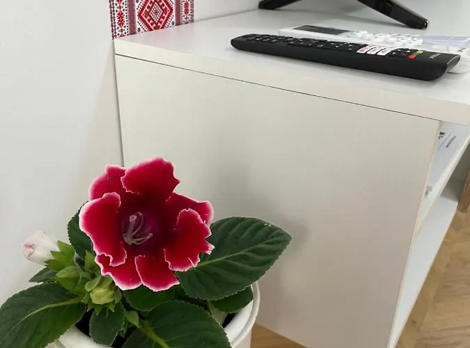 Shevitsa- Ev Wallbox וליקו טורנובו